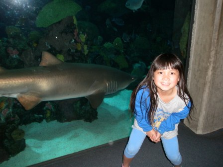 Kasen with the shark
